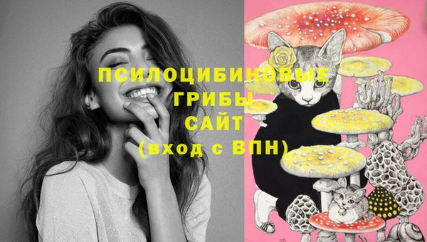 не бодяженный Белокуриха