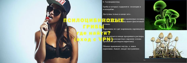 бошки Беломорск