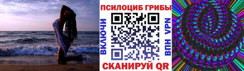 наркота  Кологрив  darknet состав  Галлюциногенные грибы мухоморы  MEGA маркетплейс 